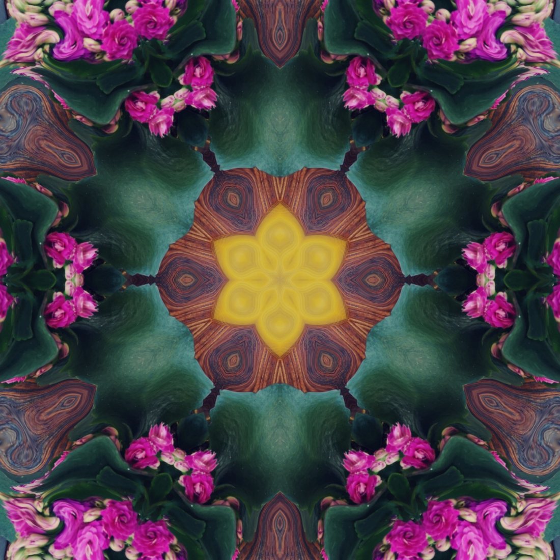 Colour., study 5